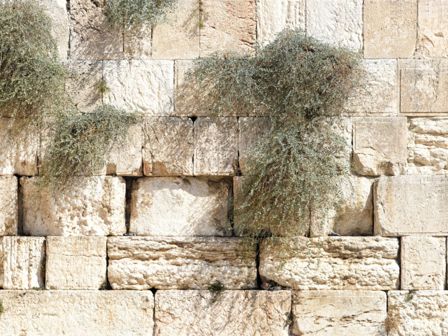 temple wall in Jerusalem