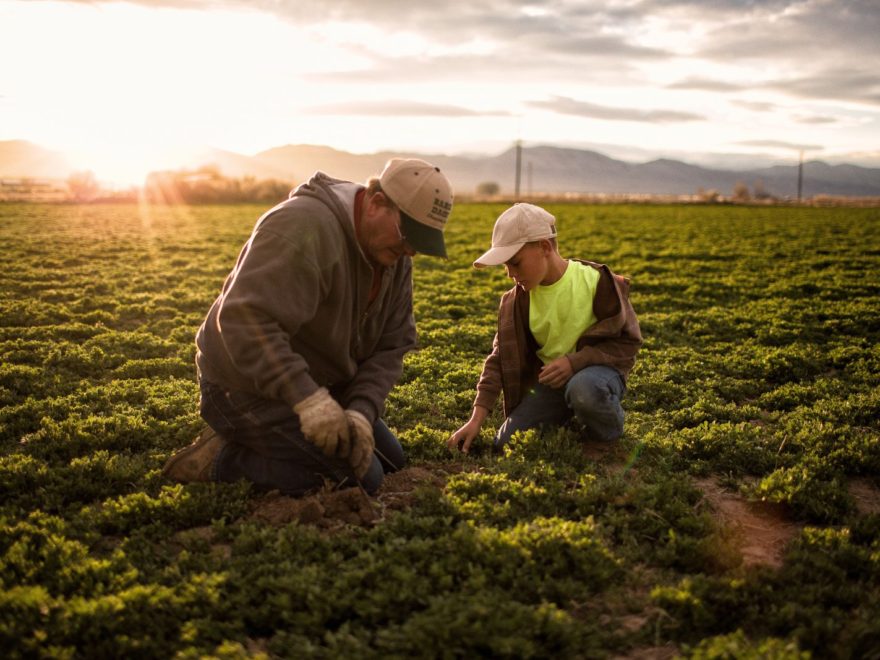 Rest for the Weary: On Cultivating the Intellectual Life