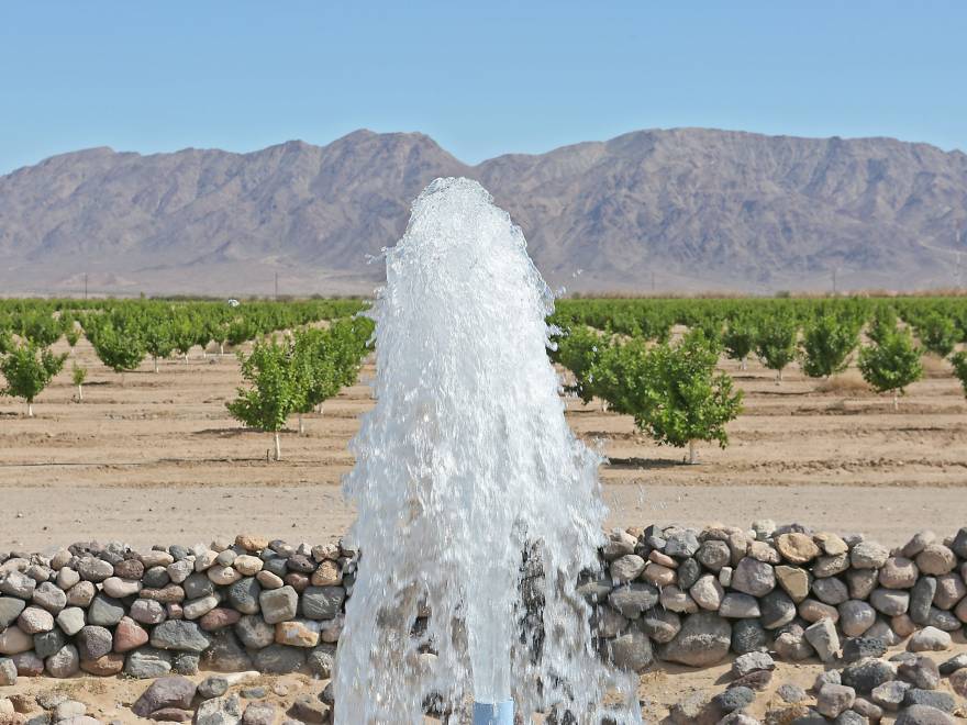 Irrigating Deserts in Schools: The Redemption of Emotion in an Age of Feeling