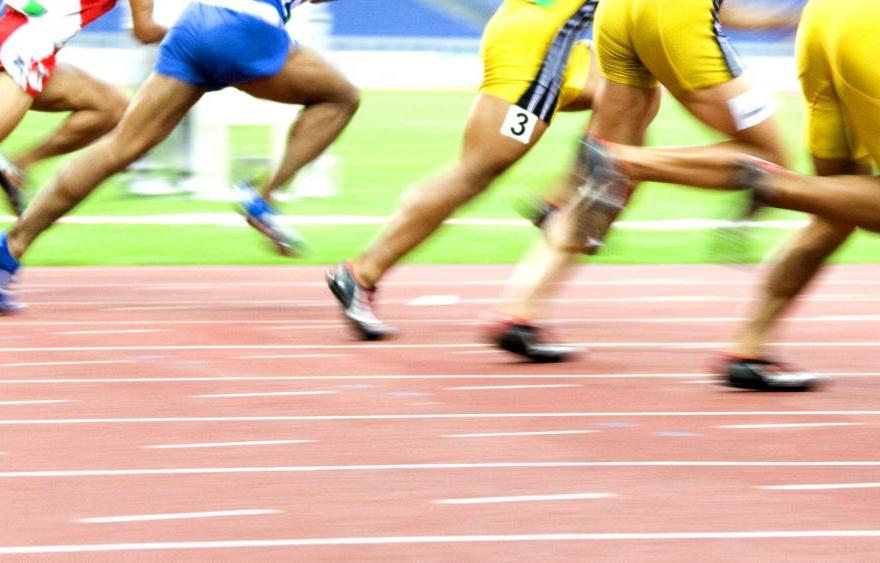 Educating for Resilience in a Coddling Culture