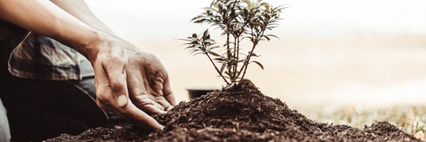 Counsels of the Wise, Part 5: Principles and Practice, Examples and Discipline