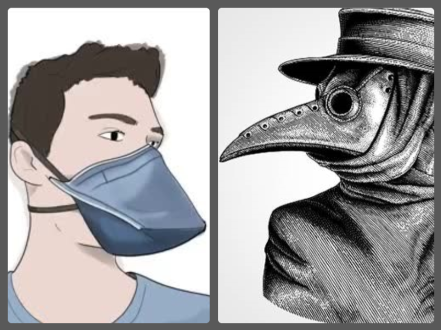 The Black Death and an Educational Renaissance