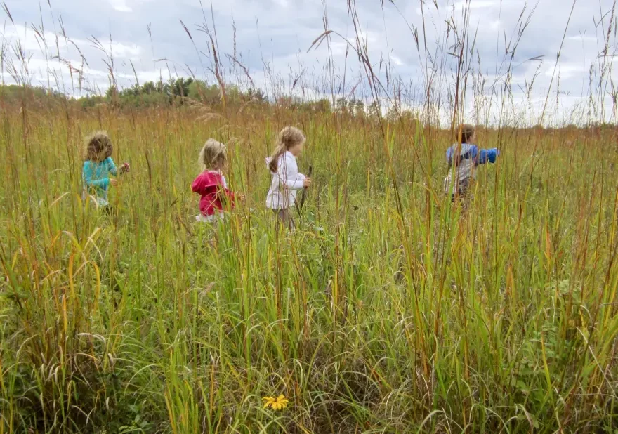 Towards a Philosophy of Nature Study